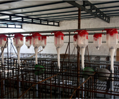哈尔滨养猪自动化料线