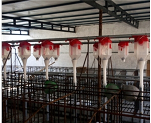 哈尔滨养猪自动化料线